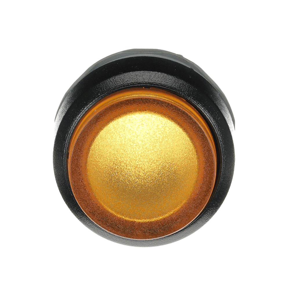 Featured image for “MP3-11Y Botón Amarillo”
